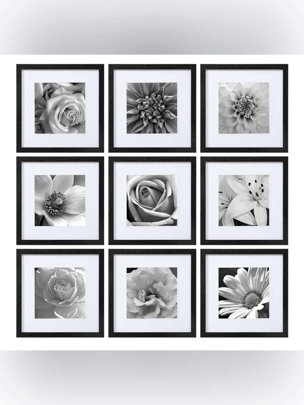 9 pack 12x12 black frames
